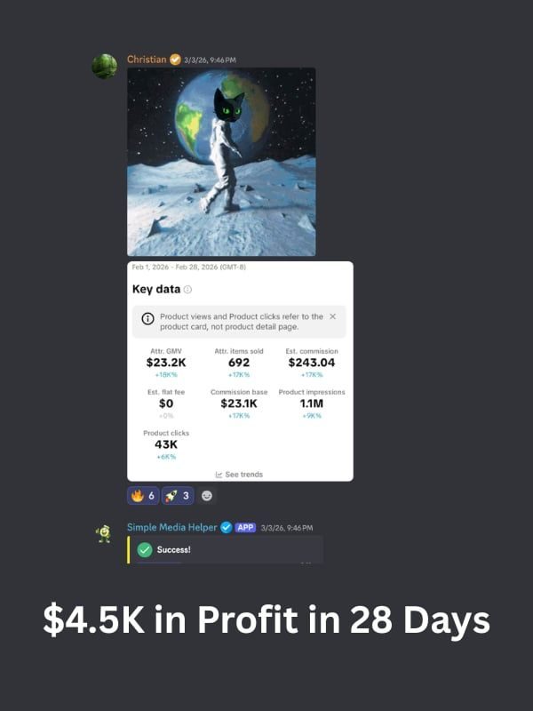 $4.5K in Profit in 28 Days